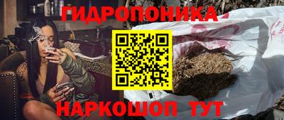 ПСИЛОЦИБИНОВЫЕ ГРИБЫ Кингисепп