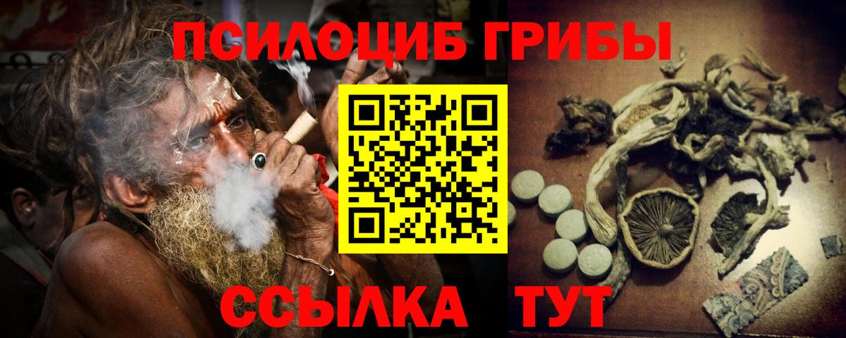 Галлюциногенные грибы Cubensis  Вход с VPN  Кохма 